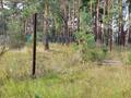 Участок · 20 соток, Щербаково, за 26 млн ₸ в Костанайской обл. — фото 5