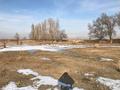 Участок · 30 га, Жаркент за 32 млн ₸ — фото 10
