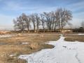 Участок · 30 га, Жаркент за 32 млн ₸ — фото 16