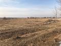 Участок · 30 га, Жаркент за 32 млн ₸ — фото 30