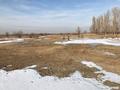 Участок · 30 га, Жаркент за 32 млн ₸ — фото 5