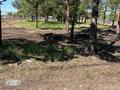 Участок · 199.18 соток, Лесная 1 за 180 млн ₸ в Затобольске (Тобыле) — фото 8