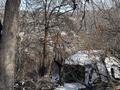 Участок · 12 соток, Олимпийская за 125 млн ₸ в Алматы, Медеуский р-н — фото 7