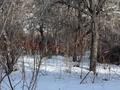 Участок · 12 соток, Олимпийская за 125 млн ₸ в Алматы, Медеуский р-н — фото 4