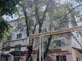 1-бөлмелі пәтер · 18.3 м² · 4/4 қабат, Конаева — Емелева, бағасы: 7.5 млн ₸ в Талгаре