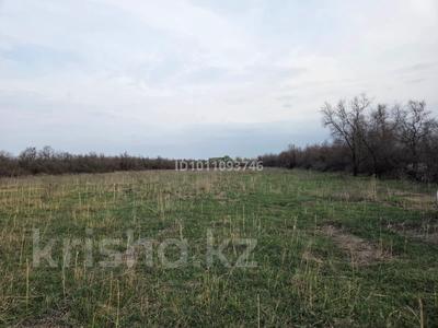 Сельское хозяйство · 40000 м² за 1 млн ₸ в Байсерке