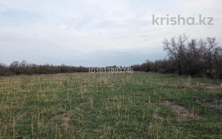 Сельское хозяйство · 40000 м² за 1 млн ₸ в Байсерке — фото 2