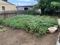 Жеке үй · 5 бөлме · 100 м² · 10 жүзд., Курьяновский, Трудовая 21, бағасы: 14 млн ₸ в Караганде, Алихана Бокейханова р-н — фото 27