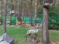 Отдельный дом · 4 комнаты · 159.1 м² · 20.7 сот., 27-й км Сарыкольской трассы за 80 млн ₸ в Затобольске (Тобыле) — фото 27