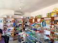 Магазины и бутики • 65 м² за 70 000 〒 в Шалкар — фото 5