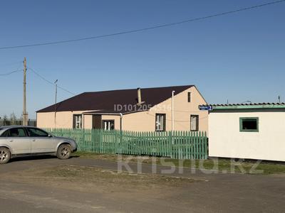 Отдельный дом · 6 комнат · 130 м² · 25 сот., Н Байгозы 2 за 18 млн ₸ в Акмолинской обл.