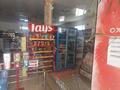 Магазины и бутики • 252 м² за 98 млн 〒 в Таразе — фото 7