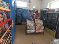 Магазины и бутики • 252 м² за 98 млн 〒 в Таразе — фото 12