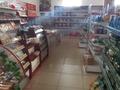 Магазины и бутики • 252 м² за 98 млн 〒 в Таразе — фото 16