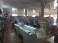 Магазины и бутики • 252 м² за 98 млн 〒 в Таразе — фото 20