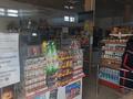 Магазины и бутики • 252 м² за 98 млн 〒 в Таразе — фото 18