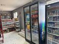 Свободное назначение, магазины и бутики, общепит · 120 м² за 89 млн ₸ в Кызыл ту-4 — фото 10