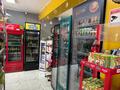 Свободное назначение, магазины и бутики, общепит · 120 м² за 89 млн ₸ в Кызыл ту-4 — фото 9