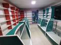 Дүкендер мен бутиктер · 98.8 м², бағасы: 50 млн ₸ в Караой — фото 16