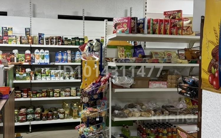 Магазин · 120 м² за 20 млн ₸ в Астане, Сарыарка р-н — фото 2