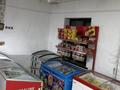 Магазин · 120 м² за 20 млн ₸ в Астане, Сарыарка р-н — фото 4