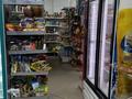 Магазин · 120 м² за 20 млн ₸ в Астане, Сарыарка р-н — фото 5