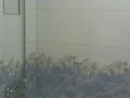 1-комнатный дом помесячно, 30 м², 2 сот., мкр Достык 45 — Акжунис,фариды шариповой за 120 000 〒 в Алматы, Ауэзовский р-н — фото 5
