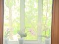 1-бөлмелі пәтер · 43 м² · 5/5 қабат, Гагарина 2, бағасы: 22 млн ₸ в  — фото 10
