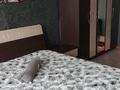 3-бөлмелі пәтер · 62.3 м² · 4/5 қабат, Майкудук, Майкудук, 15й микрорайон 33, бағасы: 14 млн ₸ в Караганде, Алихана Бокейханова р-н — фото 10