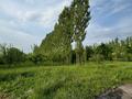 Участок · 50 соток, Керегетас ауылы, Айтас көшесі за 40 млн 〒 в Каскасу — фото 7