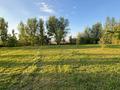 Участок · 50 соток, Керегетас ауылы, Айтас көшесі за 40 млн 〒 в Каскасу — фото 14