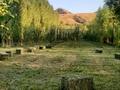 Участок · 50 соток, Керегетас ауылы, Айтас көшесі за 40 млн 〒 в Каскасу — фото 10