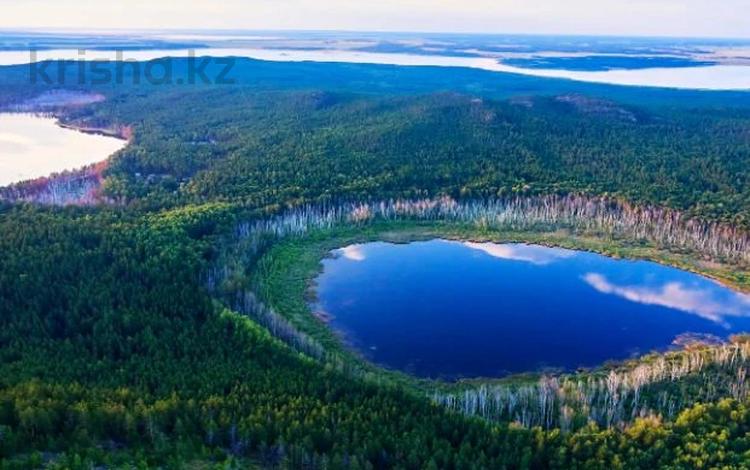 Бани, гостиницы и зоны отдыха · 3000 м² за 280 млн ₸ в  — фото 2
