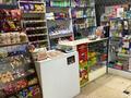 Продуктовый магазин Радуга · 211 м² за 50 млн ₸ в Таразе, мкр Каратау — фото 3