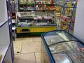 Продуктовый магазин Радуга · 211 м² за 50 млн ₸ в Таразе, мкр Каратау — фото 4