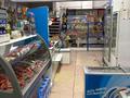 Продуктовый магазин Радуга · 211 м² за 50 млн ₸ в Таразе, мкр Каратау — фото 7