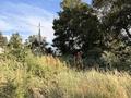 Участок · 5.5 соток, Шымбулак 1а за 7 млн ₸ в Каскелене — фото 6