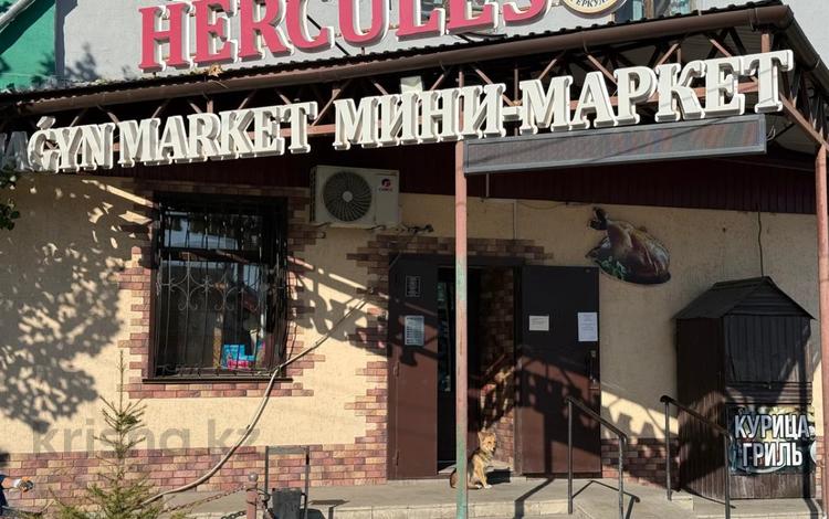 Магазины и бутики · 166 м² за 300 000 ₸ в Семее — фото 16