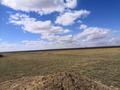 Ауыл шаруашылығы · 1600 м², бағасы: 100 млн ₸ в Павлодаре — фото 13