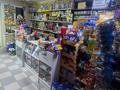 Магазины и бутики · 70 м² за 370 000 ₸ в Шымкенте, Аль-Фарабийский р-н — фото 10