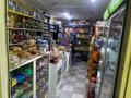 Магазины и бутики · 70 м² за 370 000 ₸ в Шымкенте, Аль-Фарабийский р-н — фото 5