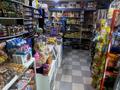 Магазины и бутики · 70 м² за 370 000 ₸ в Шымкенте, Аль-Фарабийский р-н — фото 9