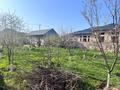 Отдельный дом · 3 комнаты · 50 м² · 8 сот., мкр Самал-3 25/14 — Угловой за 32 млн ₸ в Шымкенте, Абайский р-н — фото 7