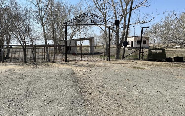Жер телімі · 4.6 га, Село Новостройка 1, бағасы: 135 млн ₸ в Самарском — фото 8