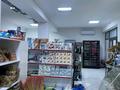 Магазины и бутики • 1000 м² за 125 млн 〒 в Шымкенте, Абайский р-н — фото 11