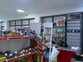 Магазины и бутики • 1000 м² за 125 млн 〒 в Шымкенте, Абайский р-н — фото 8