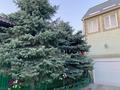 Жеке үй · 10 бөлме · 361 м² · 5.9 жүзд., Койгельды — Напротив МЦ Добрый Самарянин, бағасы: 125 млн ₸ в Таразе — фото 6