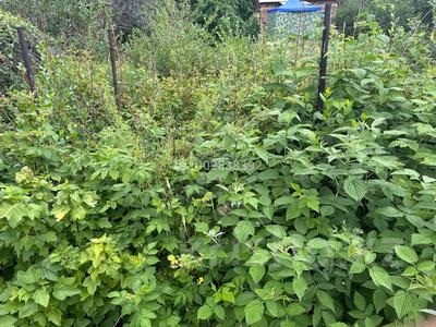 Дача · 3 комнаты · 46 м² · 6 сот., Ахмирово — Дача Рябинушка за 4 млн 〒 в Усть-Каменогорске