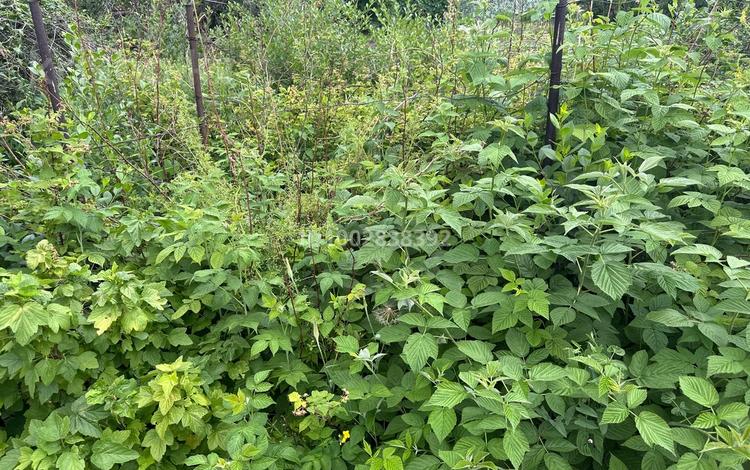 Дача · 3 комнаты · 46 м² · 6 сот., Ахмирово — Дача Рябинушка за 4 млн 〒 в Усть-Каменогорске — фото 2