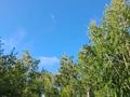 Жеке үй · 10 бөлме · 800 м² · 38 жүзд., 2 северная 1 б, бағасы: 210 млн ₸ в Щучинске — фото 16